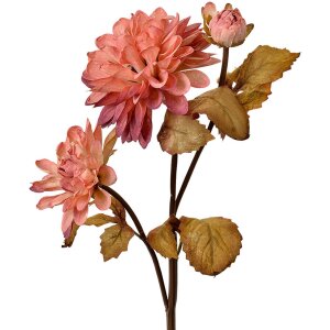 Clayre & Eef 6PL0387P Fleur artificielle rose marron...