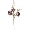 Clayre & Eef 5PL0169BL Branche décorative Violet Marron 106 cm plastique