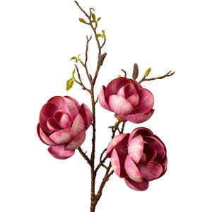 Clayre & Eef 5PL0169PA Branche décorative rose...