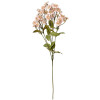 Clayre & Eef Branche décorative Fleurs Beige Vert 8x8x63 cm Plastique