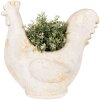 Clayre & Eef 6MG0115 Décoration Pot de fleurs Beige Marron 36x18x35 cm