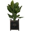 Clayre & Eef 5Y1293 Set de 2 pots de fleurs style baroque noir fer intérieur