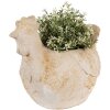 Clayre & Eef 6MG0108 Décoration Pot de fleurs beige marron 31x20x27 cm style rustique