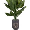 Clayre & Eef 6MG0109 Décoration Pot de fleurs motif cerf gris-beige Ø 23x31 cm