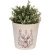 Clayre & Eef 6CEGTW0001L Décoration Pot de fleurs Beige Marron Ø 17x16 cm