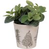 Clayre & Eef 6CETKG0001M Décoration Pot de fleurs Beige Vert Ø 18x16 cm