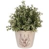 Clayre & Eef Pot Decoratif Cerf Ø 12x11 cm