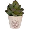 Clayre & Eef 6CEGTW0001XS Pot Decoratif Ø 8x7 cm