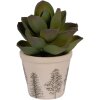 Clayre & Eef 6CENPT0001XS Pot de Fleurs Décoration Ø 8x7 cm