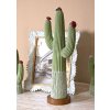 Mauro Ferretti Figurine décorative Cactus Stons 16,5x11x45 cm vert