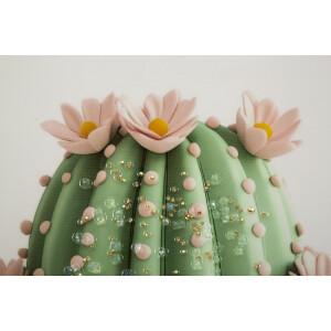 Mauro Ferretti Tableau sur toile avec cadre Vase cactus 40x2,8x40 cm