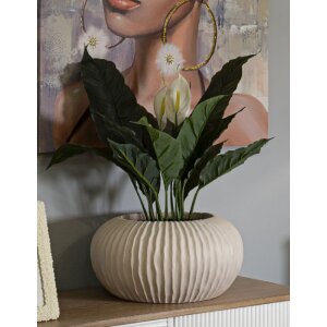 Mauro Ferretti Vase Nebel Ø35x18 cm crème