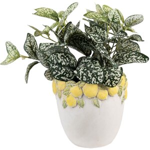 Pot à Fleurs Clayre & Eef Décor Citron...