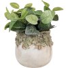 Pot de fleurs Clayre & Eef Feuilles de chêne Beige Vert 19x17 cm
