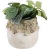 Pot de fleurs Clayre & Eef Relief Feuilles de Chêne 15x13 cm Beige Vert