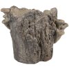 Pot de fleurs Clayre & Eef 6TE0577M tronc darbre marron beige 24x18x18 cm