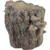 Pot de fleurs Clayre & Eef 6TE0577M tronc darbre marron beige 24x18x18 cm