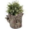 Pot de fleurs Clayre & Eef 6TE0577M tronc darbre marron beige 24x18x18 cm