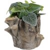 Pot de fleur Clayre & Eef 6TE0577S – Aspect pierre naturelle 19x17x16 cm