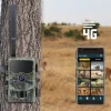 Stealth Gear Hedgehog 1080p 4G Caméra de surveillance de gibier