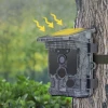 Stealth Gear Fox Solar 4K Wifi Caméra Faune
