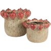 Pot de fleurs Clayre & Eef Ø 19x16 cm Beige-Rouge
