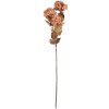 Clayre & Eef Branche Décorative avec Fleurs 10x8x76 cm Rosa