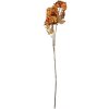 Branche Décorative Fleurs Clayre & Eef 10x8x76 cm