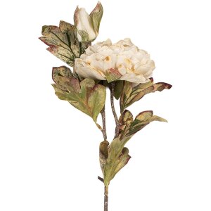 Fleur Artificielle Clayre & Eef 5PL0194W Blanche & Verte 12x10x77 cm