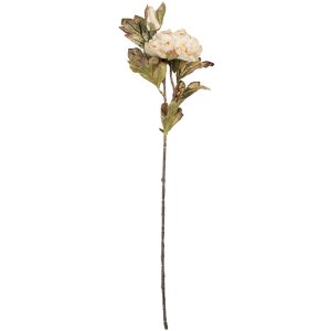 Fleur Artificielle Clayre & Eef 5PL0194W Blanche & Verte 12x10x77 cm