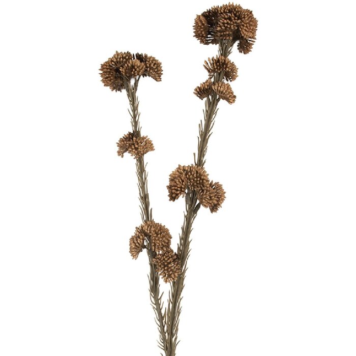 Clayre & Eef Branche Décorative avec Fleurs 6x6x58 cm Marron & Vert