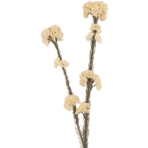 Clayre & Eef Branche décorative avec fleurs...