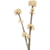 Clayre & Eef Branche décorative avec fleurs 6x6x58 cm