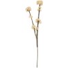 Clayre & Eef Branche décorative avec fleurs 6x6x58 cm