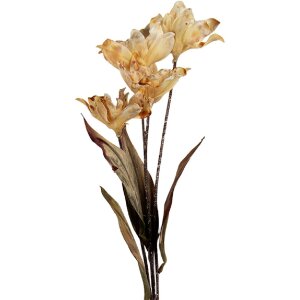 Branche Décorative Clayre & Eef Fleurs 8x5x60 cm Marron, Vert
