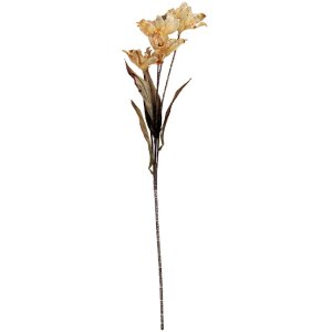 Branche Décorative Clayre & Eef Fleurs 8x5x60 cm Marron, Vert