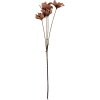Clayre & Eef Branche avec Fleurs 8x5x60 cm Marron et Vert