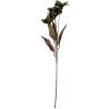 Clayre & Eef Branche décorative fleurie 8x5x60 cm Vert
