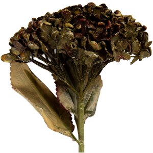 Clayre & Eef Branche Décorative avec Fleurs Verte 15x15x47 cm