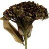 Clayre & Eef Branche Décorative avec Fleurs Verte 15x15x47 cm