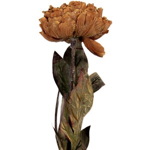 Clayre & Eef 6PL0405BR Fleur Artificielle 10x10x65 cm Marron & Vert