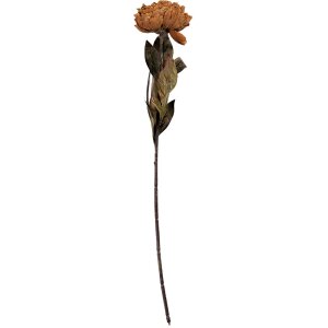 Clayre & Eef 6PL0405BR Fleur Artificielle 10x10x65 cm Marron & Vert