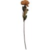 Clayre & Eef 6PL0405BR Fleur Artificielle 10x10x65 cm Marron & Vert