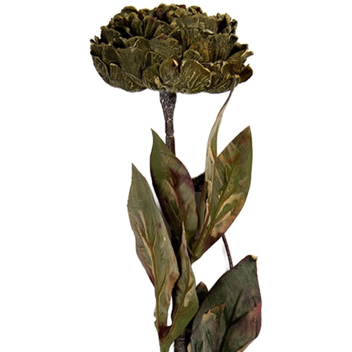 Fleur Artificielle Clayre & Eef 10x10x65 cm