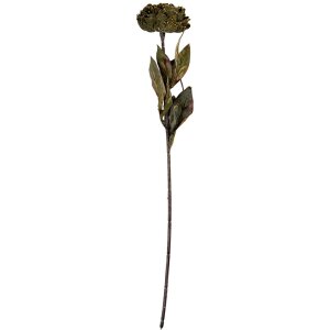 Fleur Artificielle Clayre & Eef 10x10x65 cm