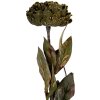 Fleur Artificielle Clayre & Eef 10x10x65 cm