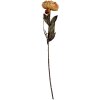 Clayre & Eef Fleur Artificielle Orange & Vert 65 cm