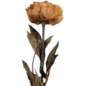 Clayre & Eef Fleur Artificielle 10x10x65 cm Jaune Vert