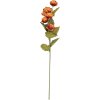 Branche décorative fleurie Clayre & Eef 6PL0409O