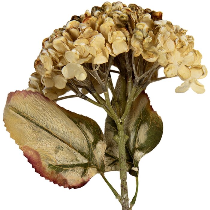 Clayre & Eef Branche décorative avec fleurs Beige-Vert 15x15x47 cm